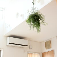 Room 検索結果