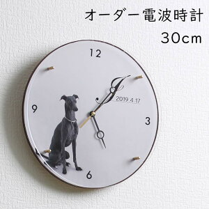 A+ (ANZgvX) I[_[dgv dgv v NbN 蕨 |v v IWi I[_[ EɈ vo LO LOi v[g җ  oY 玙 q s a