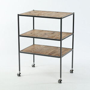 A+ (ANZgvX) 3i S Tresica-gXJ- S Vv  Oi Lb`S Lb`bN LX^[t Ƒ zV TChS Se[u ⏕e[u 