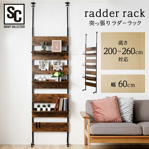 _[bN uE LDLK|2600 ǖʎ[ ς bN 60 p[e[V ǎ[ [ sv ǖ ǖʃbN ˂ fBXvCbN I 60Z` Vv [