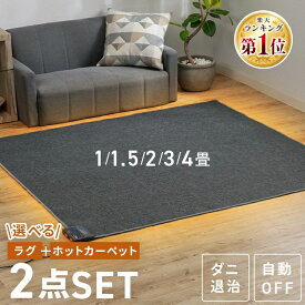 ホットカーペット 2畳 1畳 1.5畳 3畳 4畳 ラグ セット 省エネ 本体 TEKNOS 電気カーペット コンパクト ホットマット 電気マット 省エネ 正方形 切り忘れ自動OFF ダニ退治機能付 簡単操作 温度調節 コンパクト収納 グレー