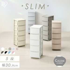 [{bNX e `FXg  5i 31cm s40cm k ^X vX`bN [P[X ߑP[X o [ Vv ʏ Q  gݗĊȒPh[`FXg ߗގ