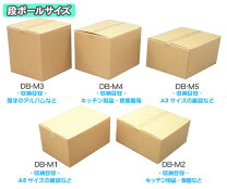 楽天市場】皿 セット（ダンボール｜梱包資材）：生活雑貨<日用品雑貨 