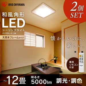 y2ZbgzV[OCg  12 led F ap` ACXI[} CL12DL-5.1AJP VR ؘg l炵 VƖ Ɩ ȃGl ߓd ^T[Lbgyz 