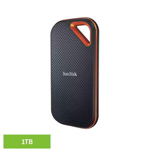 SanDisk GNXg[v |[^uSSD1TB SDSSDE81-1T00-J25|[^uSSD 1TB sandisk TfBXN RpNg e f[^ۑ Be TfBXN