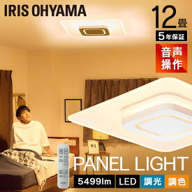 シーリングライト 12畳 led 調光調色 音声操作 アイリスオーヤマ パネルライト 天井照明 リビング ダイニング 寝室 おしゃれ スピーカー不要 Wi-Fi不要 リモコン付き 角型 省エネ 節電 CEK-A12DLPSV 照明