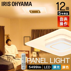 【最大400円OFFクーポン★新生活フェア】シーリングライト 12畳 led 調光調色 音声操作 アイリスオーヤマ パネルライト 天井照明 リビング ダイニング 寝室 おしゃれ スピーカー不要 Wi-Fi不要 リモコン付き 角型 省エネ 節電 CEK-A12DLPSV 照明