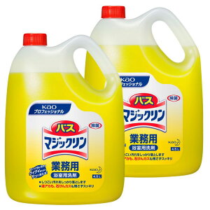 【2個セット】バスマジックリン 4.5kg 業務用 洗剤 浴室 除菌 お風呂洗剤 2本セット Kao 中性タイプ プロフェッショナル マジック泡 new