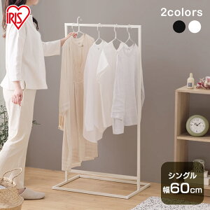  󕨊  p^ nK[bN X  60cm ȃXy[X pCvnK[ O   ~J ԕ l炵 h X^C   ACXI