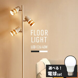 yIׂLEDdZbgz X^hCg  _ k LED 3 tACg X^h X ԐڏƖ tAv VF[h px tAX^h Cg Vv Ɩ r