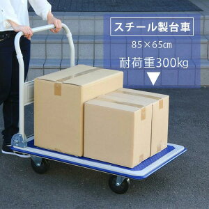 y20%OFFz X`[ 300kg SLD-H001BL   300kg  ܂肽  300kg L[ S  ^ ^p ԃS ԉ^ L[S S SL[ u