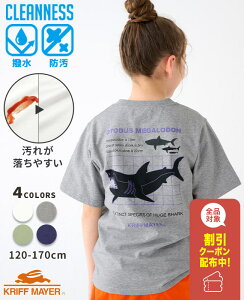 yuhcz N[lX TVc T [120cm~170cm]  gbvX obNvg  h  100 Rbg Lk q LbY WjA t  H w KRIFF MAYER KIDS NtC[