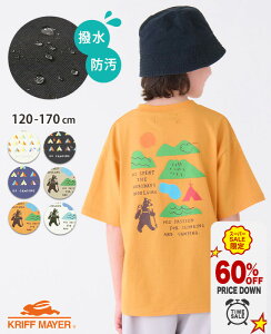 y60OFFb12 X[p[Z[ z ڋʁzyuhcz tCOrbg S  TVc [120cm~170cm] gbvX Jbg\[  Rbg S Lk AEghA q LbY 