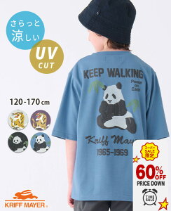 y60OFFb12 X[p[Z[ z ڋʁzyuhcz  FL XJ TVc [120cm~170cm] gbvX  UVJbg O΍  ʋC g p_ Aj} X[xjA Lk 