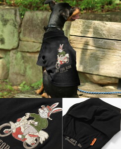 yuhcz ̂ T oCN rbgDOG hbO TVc Lk  hJ Xgb` _炩 N  yAbN  Ci[ C[h ^ ^ ybg ^[gl