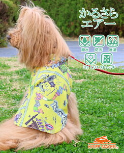 y50OFFb12 X[p[Z[ z ڋʁzyuhcz 邳GA[ GWC Vc DOG hbO gbvX J    h  UVJbg JWA EȒP hbOE