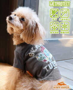 yuhcz EFbgveNg T ^[gDOG hbO gbvX TVc    h JbW ڐG⊴  yAbN JWA EȒP hbOEFA ybg Jt 