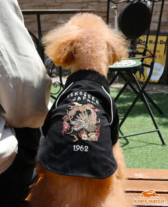 yuhcz X[xjA hJ WPbgDOG hbO gbvX AE^[  XJW  AJW Be[W   yAbN JWA hbOEFA yb