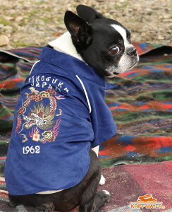 yuhcz X[xjA hJ WPbgDOG hbO gbvX AE^[  XJWAJW Be[W JWA hbOEFA ybg U ё΍ KRIFF MAYER DOG Nt