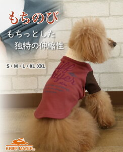 yuhcz ̂ T SDOG hbO gbvX TVc   Lk Xgb` g hJ   yAbN JWA EȒP hbOEFA ybg Jt U