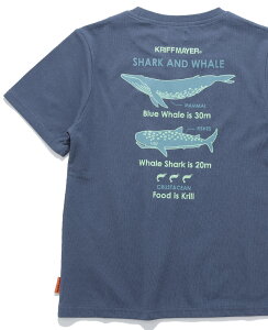 yuhcz ^b` V TVc őΌ [120cm~170cm]  gbvX obNvg NW T ڐG⊴  Xgb` Lk q LbY WjA  j̎q ̎q 