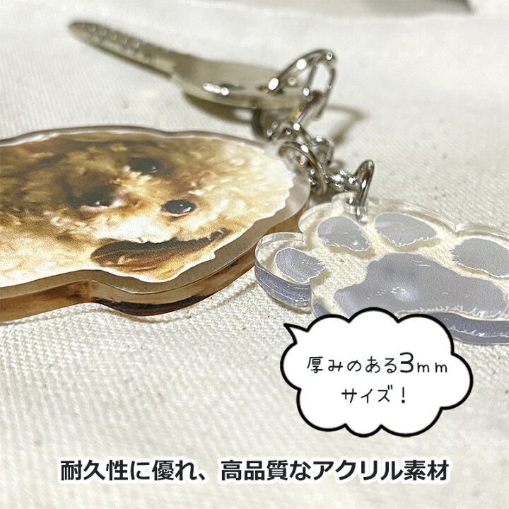 楽天市場】肉球付き ペットわんにゃん キーホルダー オリジナル 