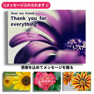 bZ[WIԂ̕Ǌ|y̓MtgzhV̓ ̓ 蕨 a Mtg Vj Vzj  ɂœK CeALoX t[tHgA[gLoXpl