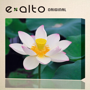 @@nX@Ǌ|LoXA[g t@ā@ԁ@ԁ@A R F@ O[ { Mtg ̓ v[gA[g|X^[ EH[A[g t@ubNA[g t@ubNp