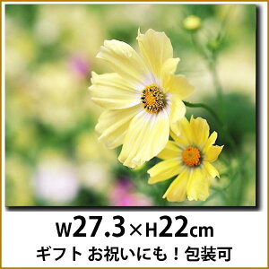 RXX@H@Ǌ|LoXA[g H@ԁ@A@A R F@ O[ { Mtg ̓ v[g@t@ubNA[g t@ubNpl CeAG WO[
