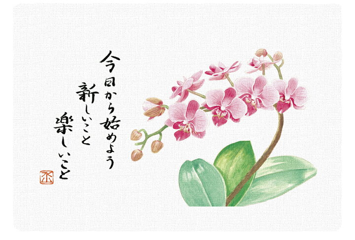楽天市場 コチョウラン 胡蝶蘭 花の水彩画 キャンバス仕立て 一言メッセージ入り ギフト リビング 壁掛け新築祝い 開店祝い エアルトアート