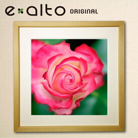 壁掛けアート 額縁付アートパネル 風景画/y2-hiro ジクレープリント額縁付き バラ 薔薇 一輪 植物 赤 自然 春 夏 母の日 花