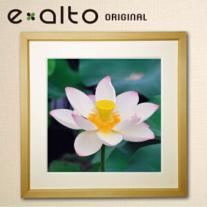 Ǌ|A[g ztA[gpl @/nX̕i/y2-hiro WN[vgzt