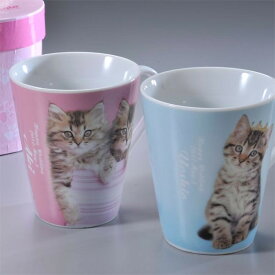 【名入れ専門】【名入れ プレゼント】CAT猫ペアマグカップ