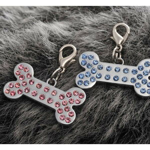 yzy v[gzybgpCXg[`[iʕj