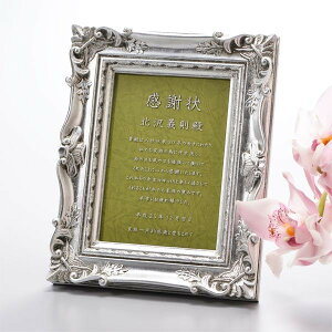 yzy v[gzAeB[NX^CtHgt[