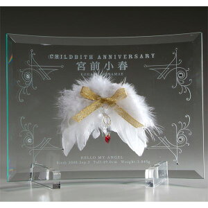 【名入れ専門】【名入れ プレゼント】デコ記念楯 バースディ天使のメモリアルガラス盾