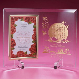  SXX ʐ^ AKX tHgt[ LTCY zBOX