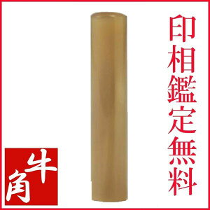 ���̓� ��̓� �M�t�g ��� �͂� �l ���p��� �F�� �@12mm