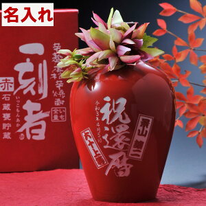  SXX  Ē  ꍏ  ΑP 27x 720ml RT[Wt