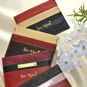 yzy v[gzyňlɒz Ipa-Nima3J[@U[J[hP[X