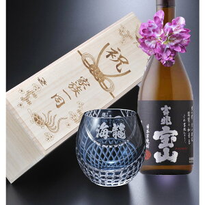  SXX Zbg ؎q Ē gR 25x 720ml & Z~NX^ ی^bNOX RT[Wt ؔ