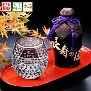  SXX Zbg ؎q ̎ 30x 550ml & Z~NX^ ی^bNOX  ؔ