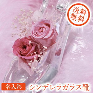 y݌Ɍzy v[gz yzVf KX̌C iNX^jvU[uht[ NAO}t MtgBOX