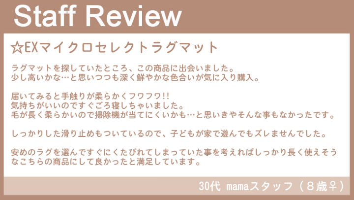 Natural Posture EXマイクロラグ CM-200 レンガ