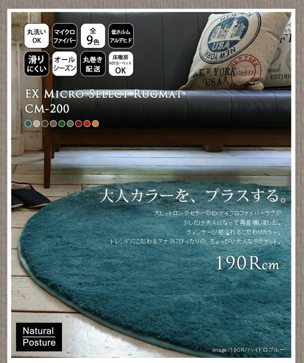 楽天市場】【送料無料】【代引利用不可】EXマイクロセレクトラグマット 