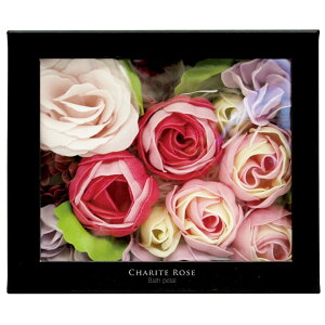 ܁uVe[YvoXy_y  oX{[ oX{ oX^C oX\g mR[|[V v[g Mtg v`Mtg  j FB lC  