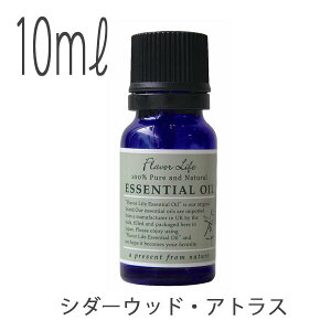 GbZVICut[o[CtvV_[EbhEAgXi10mljyA}  i tOX IC tbV  bNX 100sA i` q Mtg 