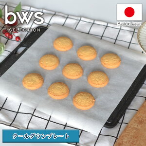 ubws SELECTIONvN[_Ev[giW300×D200×H8mmj[KS-385077S]y{ ߂ eM MD M M ⓀHމ ȃXy[X Zz