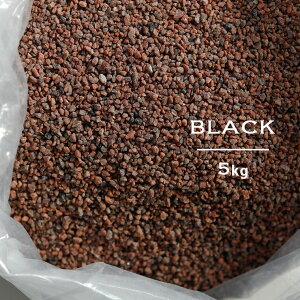  @̃oX\g5kg q}≖y ܂Ƃߔ pbN oX\g sN ubN ~l  [Y C ObY bNX  Mtg bɂȂ