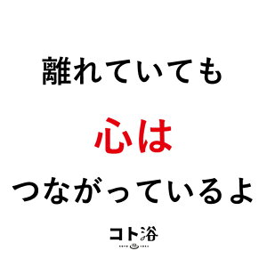 uRgvVn߂l֑m Rg / ꂩƉ܂nif܁^40gjzCgy΂܂  f foX fXp fC ێ v`Mtg Mtg v